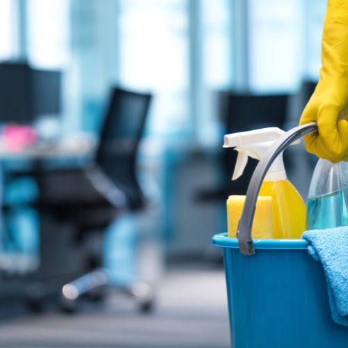 neteja i manteniment